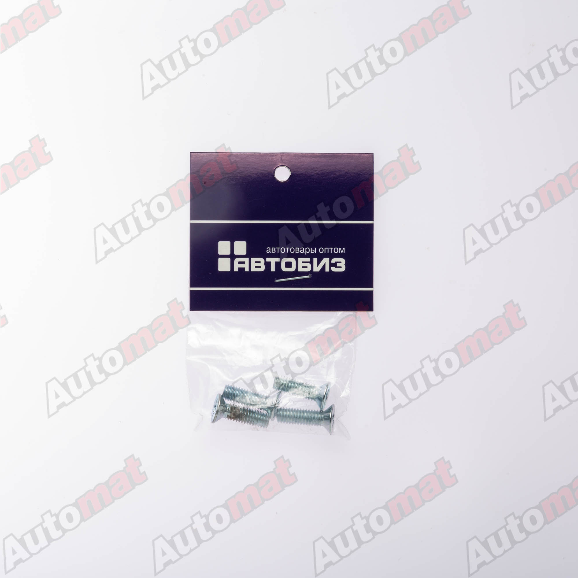 Винт крепления номера/рамки М6х20